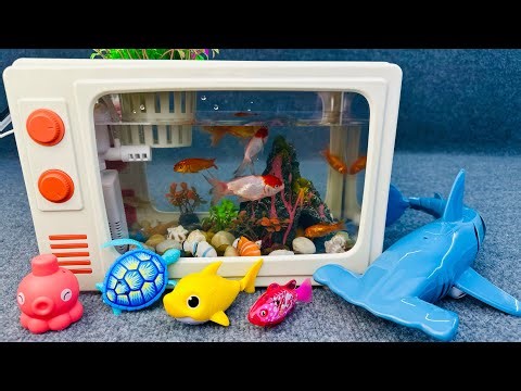 Satisfied unboxing aquarium robot fish magnetic fish shark fishing toy set ASMR | Toy evaluation