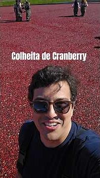Where do cranberries come from and what is a cranberry farm like? #cranberryharvest