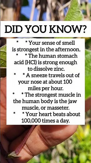 Human Body & Daily Facts: Did You Know?