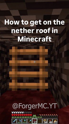 ForgerMC | Do you need to get on the nether roof in Minecraft to make the gold farm you’ve been planning? Well here’s the easiest way to get onto the... | Instagram