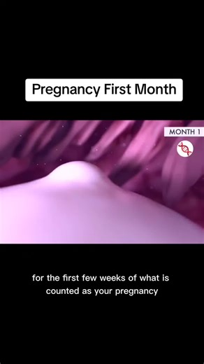 Understanding Your Pregnancy's First Month