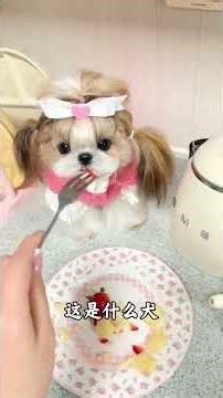 Here are some types of dogs for science popularization. How many do you know#Review#Popula