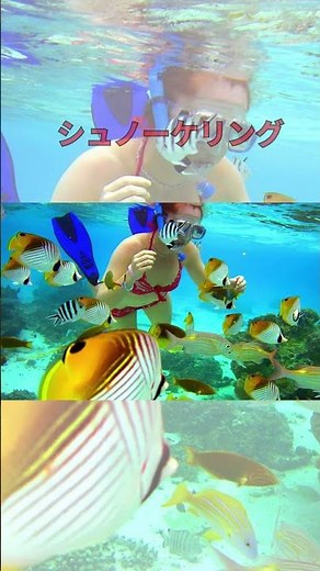 【クック諸島】1分で巡るアイツタキの魅力 |アイツタキ観光ガイド#クック諸島 #アイツタキ #世界一美しいラグーン #南国リゾート #絶景スポット #ハネムーン旅行 #南太平洋の楽園 #海外旅行