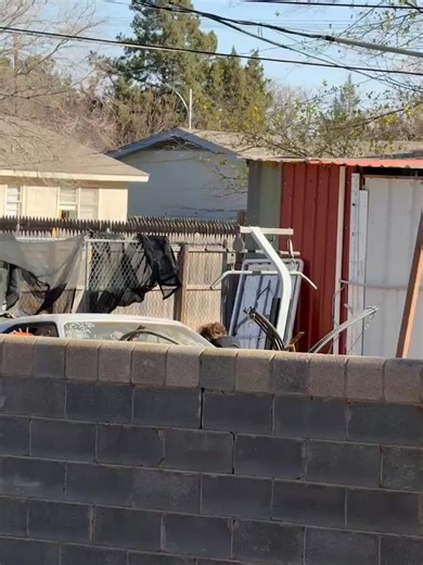 Lubbock County Mugshots on Reels