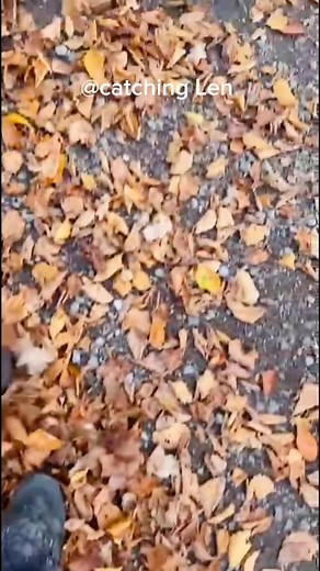 The stars are calling and I must go 😀 #StarsEverywhere #loveislove #happinessisachoice | Catching Len