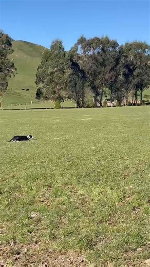 Growing Future Farmers on Reels