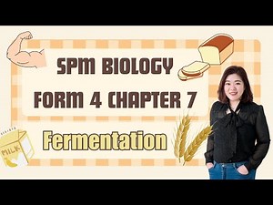 【中文讲解】KSSM Form 4 Biology Chapter 7 Fermentation
