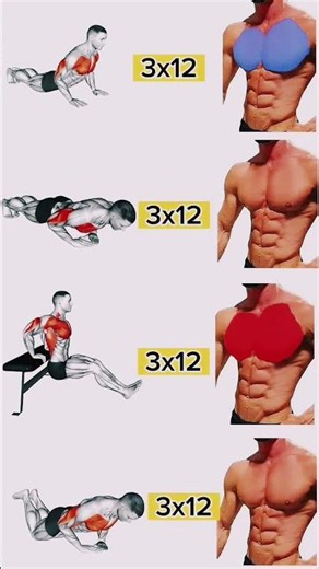 ULTIMATE At Home Chest Workout -NO Equipment Upper, Lower, Middle Exercises#pushupsworkout
