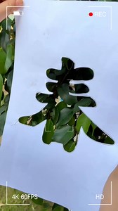 🌸🌹🍃🌼Let's go find spring outdoors! Look at these little artists! Children from Lanjiang Kindergarten, ＃Lin'gao, are capturing the beauty of spring with the paper cuts they learned to make in class. 🧑‍🎨🎨What a creative way to celebrate the season! #CoolHainan #Lingao#ChinaTravel #HainanVisaFree | Love Lingao