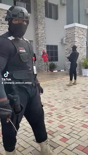 VIP Protection Services in Nigeria