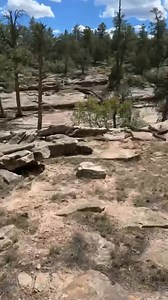 24K views · 189 reactions | Deer hunting ❤️ 歷 #hunting #deerhunting #hunting #huntingseason | Hunting master | Facebook