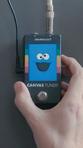 4.8K views · 46 reactions | Who's filled all 12 slots on their tuner with pics since the firmware update? You could load anything from pics of your furry friends back at home, set lists, Nashville numbers for that one song you didn't practice, motivational posters, and on and on! | Walrus Audio | Facebook