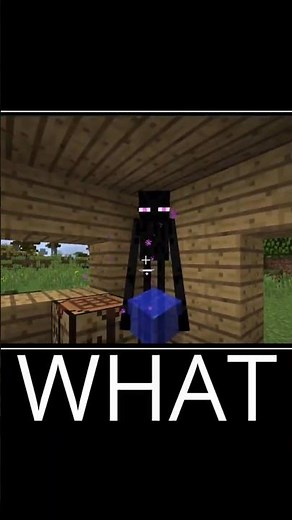 Minecraft Wait What meme 🫥 #minecraft