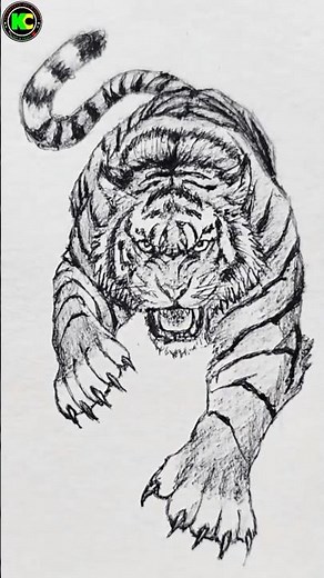 How to Draw a Realistic Tiger Step by Step 🐯 Easy Tiger Sketch Tutorial for Beginners #tiger