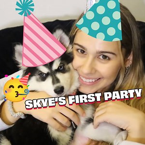 We Surprised Our Puppy With A PARTY!! 🐕🎉 | Adi Fishman