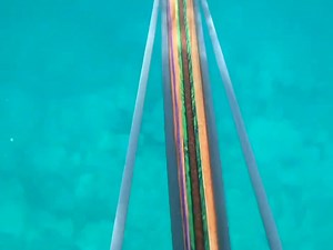 Spearfishing Fish arrows didn't expect to get this much | Fishing Videos