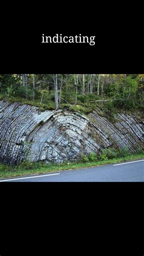 Students of Geography on Reels