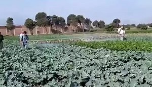 145K views · 858 reactions | Manual Boom Sprayer - Impressive idea | Agriculture.pk | Facebook