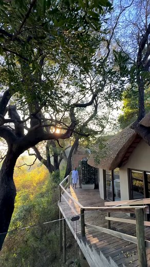 74K views · 1.3K reactions | In a display of social bonding, the...