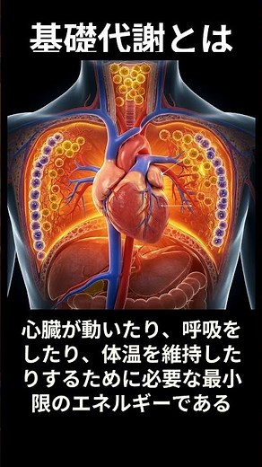 体が勝手に動く理由！生命の源、ATPと基礎代謝の秘密 #基礎代謝 #ミトコンドリア #体の仕組み