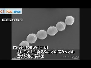 Ａ群溶血性レンサ球菌咽頭炎 １６週連続警報レベル