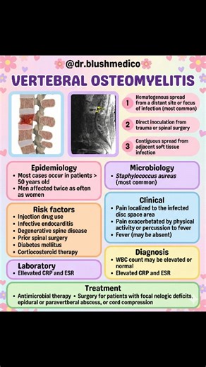 🌸Dr.Akanksha jain🌸 on Instagram: "🦴💥 “When back pain isn’t ‘just back pain’ — your spine might be cooking an infection!” Vertebral osteomyelitis is that sneaky villain that loves diabetics, IV drug users & patients post-surgery. Miss it → you miss the diagnosis. Catch it early → you save a spine 🙏✨ Extra Exam Pearls (NOT in image): • MRI = Investigation of choice 🧲 • Discitis + osteomyelitis combo is classic • Blood culture positive in ~60% • TB spine (Pott’s disease) = think anterior vert