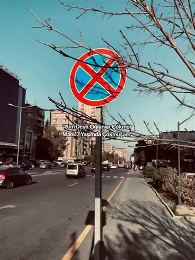 𝟎𝟎𝟐.𝐬𝐬 (@002..ss)’s videos with orijinal ses - 𝐕𝐚𝐡𝐢𝐝 𝐄𝐝𝐢𝐭𝐬.