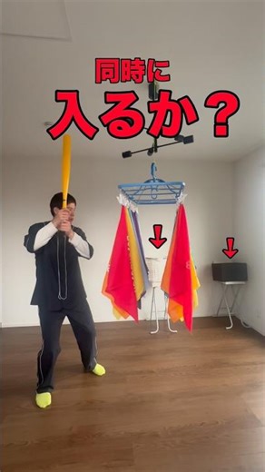 【神業】洗濯物20枚同時仕分け #洗濯物ホームラン