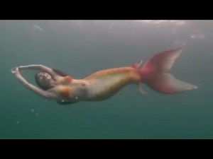 mermaid transformation