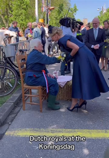 Dutch Royals Shine at Koningsdag Celebration
