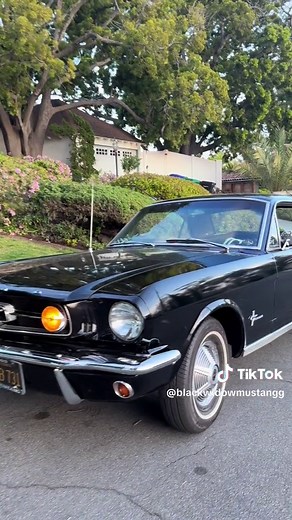 Exploring the Classic Mustang 1965 with Lana Del Rey
