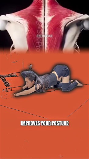 🔍 3 Movements Activate Posture, Release Tension, and Improve Body Alignment 🔍