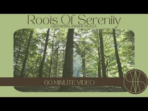 60 Minute Guided Mindfulness Meditation | Roots Of Serenity - Growing Inner Peace
