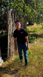 37K views · 546 reactions | Amazing barn find in Dripping Springs, Texas! Coming to auction soon. | Vogt Auction Galleries | Facebook