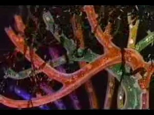 happy harmonies - to spring (1936)