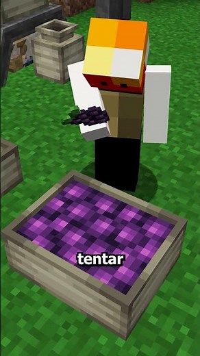 Esse mod te transforma em pedra.