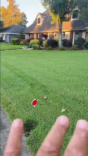 Zoysia lawn installation Destrehan by Clean Cut Landscape Co