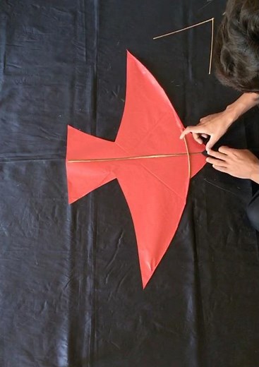 Making tutorial of International bird’s kite #diy