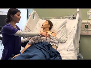 NRS 206 Integrative Assessment