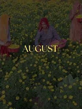 Every Seed, A Solution | FSII’s Commitment to Farmers & Food Security