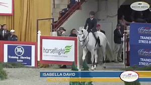 Some #MondayMotivation for you! Watch Luke Jensen, aboard Jamaica, complete the second round of the Dover Saddlery/USEF Hunt Seat Medal Final in the Harrisburg Coliseum on Sunday night. The pair went on to the work-off round and took home the winning title! 🥇🌟 | USEF Network