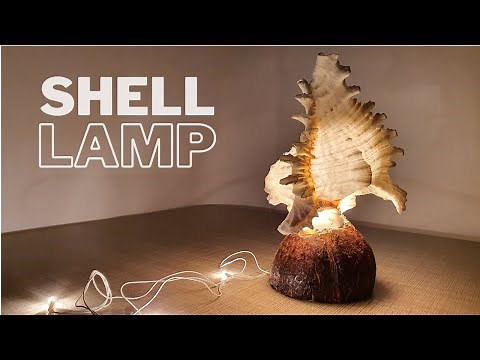 Sea Shell Lamp With Coconut Base