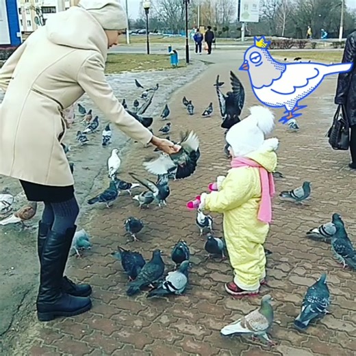 #pigeons #chasingsun #cute #babygirl