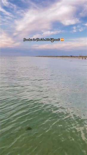 POV: You’re Watching the Perfect Florida Sunset 🌊🌅