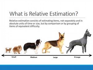 Agile Estimation - It's All Relative