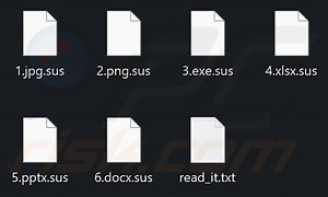Sus Ransomware