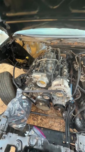 Camming Journey: A 1979 Chevrolet El Camino Transformation