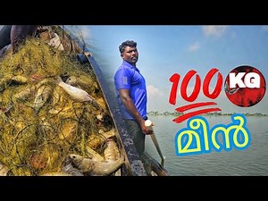 ഈ മീൻ ഇതുപോലെ കിട്ടുന്നത് ഇതാദ്യം | ഒറ്റ വലക്ക് 100കിലോ മീൻ