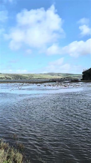 Indian beach lagoon, Hearts Desire state beach 2/19/26