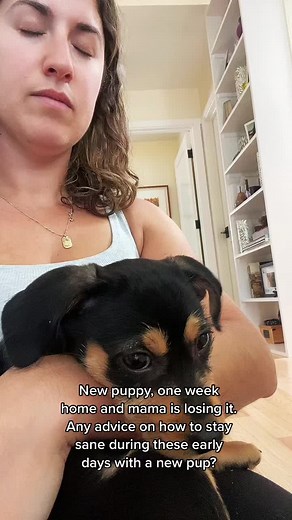 Experiencing some serious puppy blues the first week into owning this little guy. I know it gets better, but any advice would be appreciated ❤️🐶#puppy #dogmom #puppyblues #anxiety